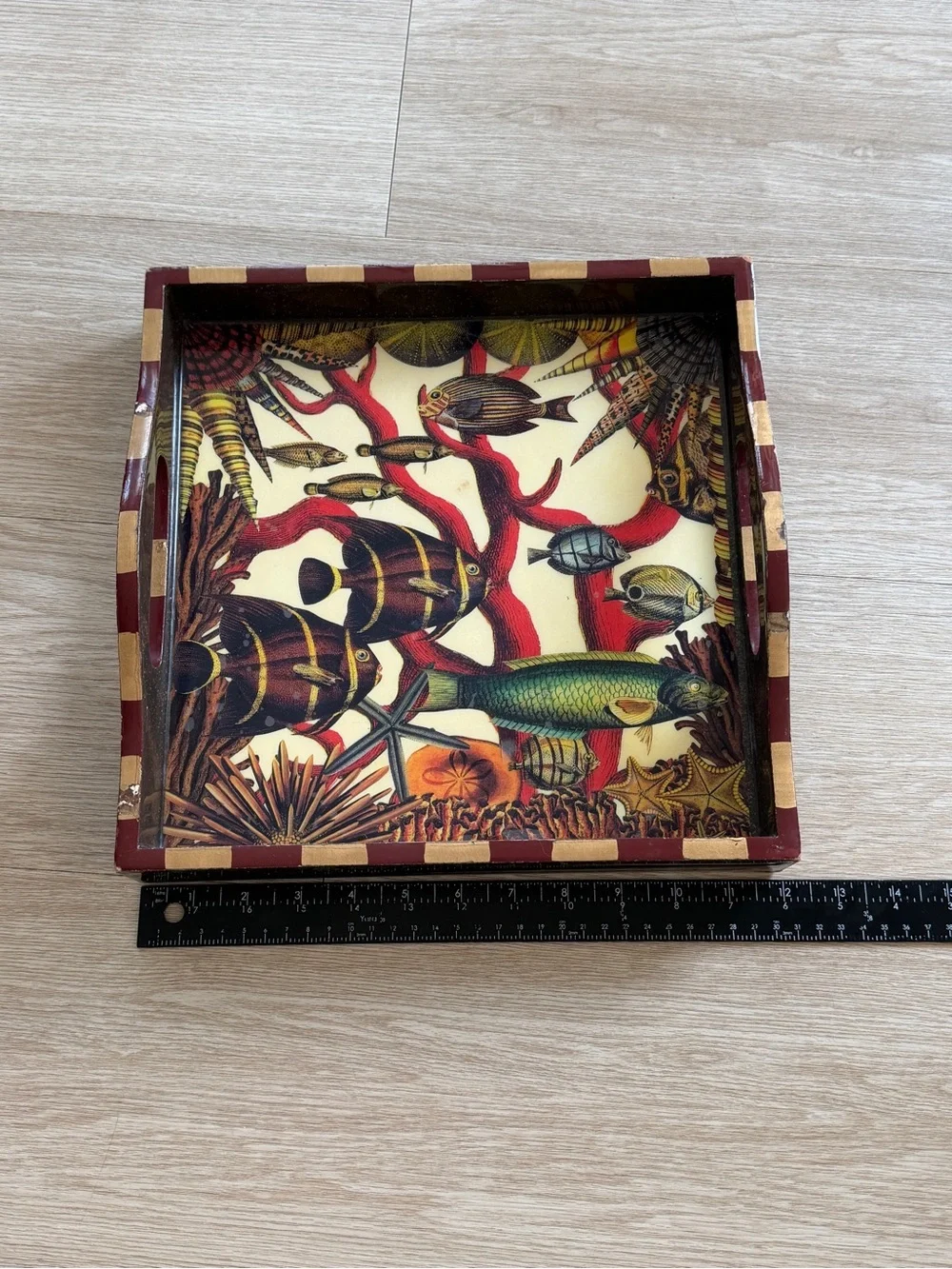 Anni Modica Oceans Fish Coral Reef Wood Tray Bar Art 12” x 12” -see description